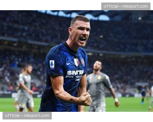 转会动态：多家媒体称，纽卡斯尔夏季有意引进国际米兰前锋劳塔罗·马丁内斯